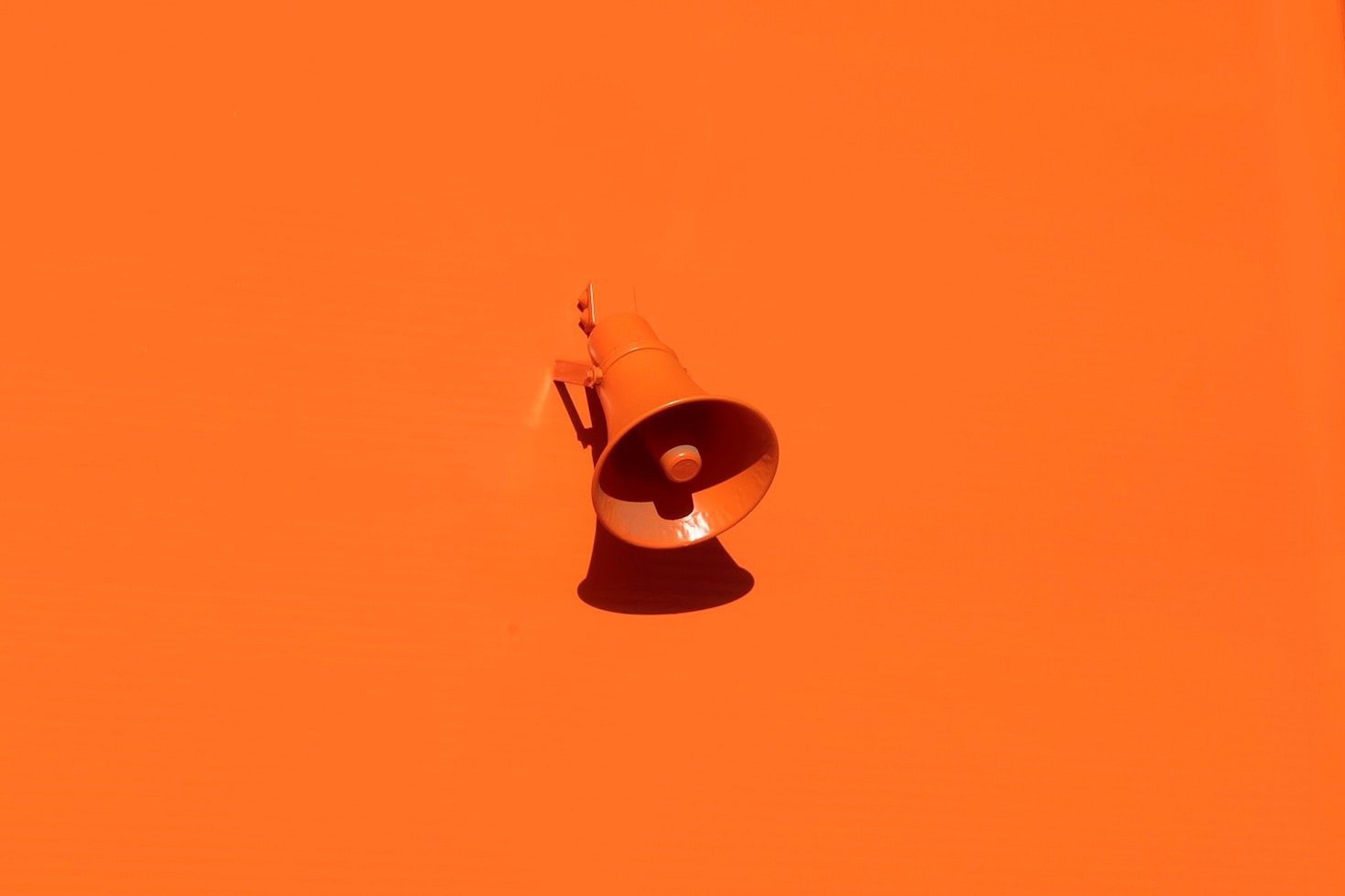 The Art Of Building Bold Brand Identities